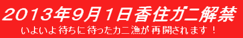 香住ガニ解禁
