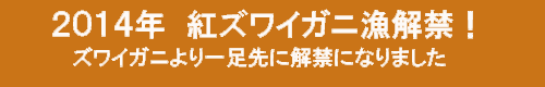 香住ガニ解禁